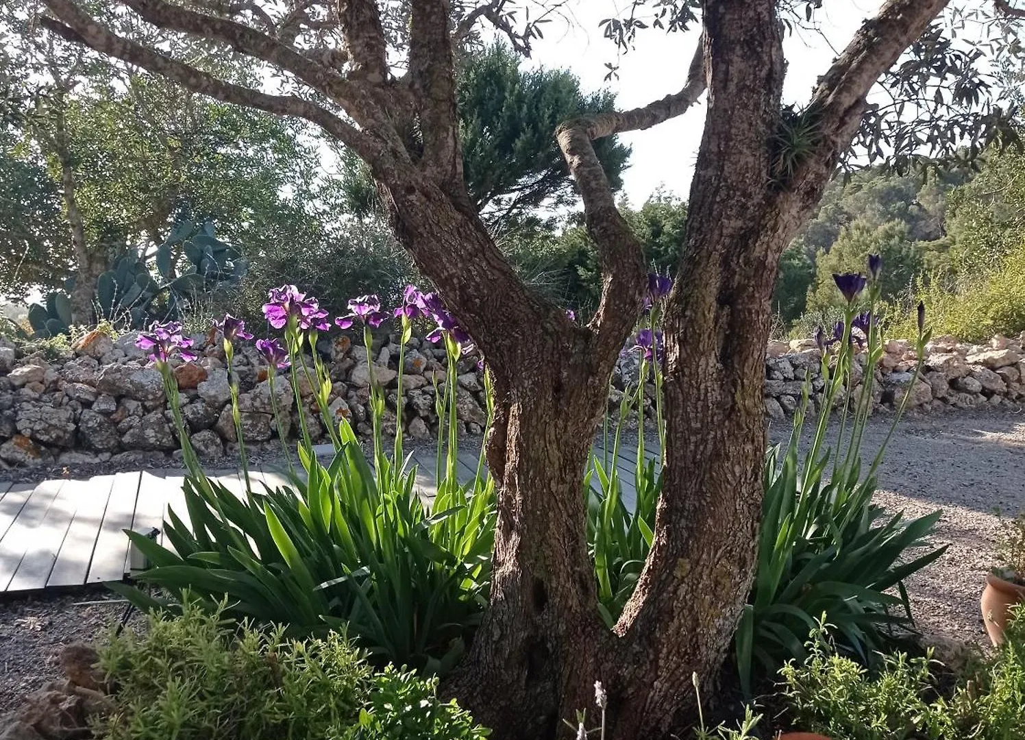 Sa Vinya Casa De Campo Es Cubells